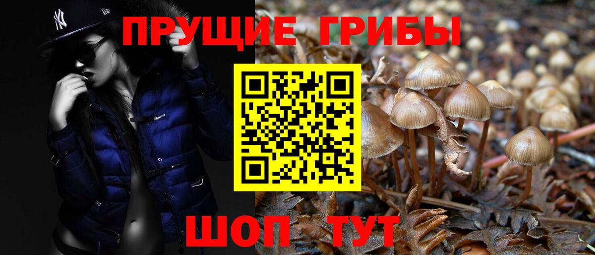 Галлюциногенные грибы ЛСД Геленджик