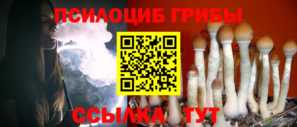 Псилоцибиновые грибы мухоморы  Галлюциногенные грибы прущие грибы  Геленджик  Вход с VPN 